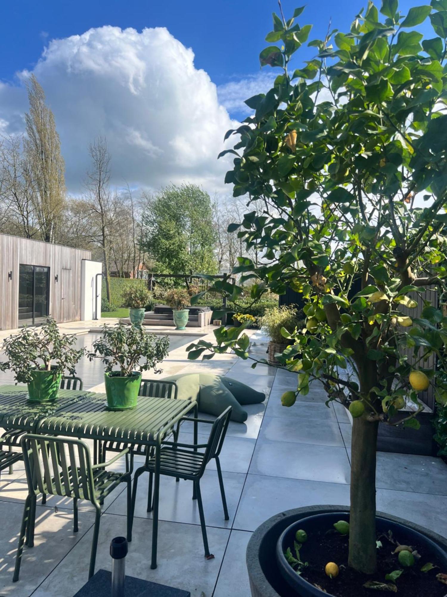 De Lichtboei Bed & Breakfast Kootwijkerbroek ภายนอก รูปภาพ
